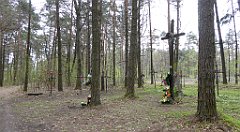 493_TZ60_P1100598_cr