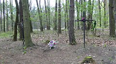 494_TZ60_P1100599_cr