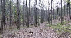 507_TZ60_P1100604_cr