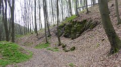 510_TZ60_P1100607_cr