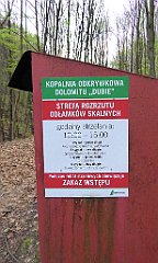 517a_TZ60_P1100613_cr