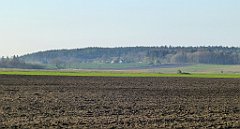 054_TZ_P1090301_cr