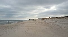 190_IMG_20160428_094335_cr