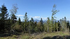 032_TZ60_P1100760_cr