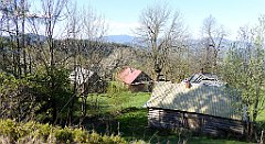 049_TZ60_P1100780_cr