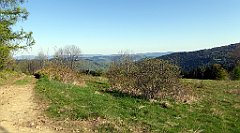 052_TZ60_P1100783_cr