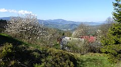 055_TZ60_P1100786_cr