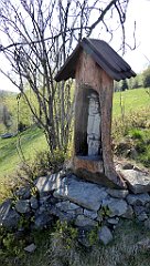 061_TZ60_P1100791_cr