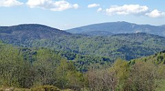 068_TZ60_P1100800_cr