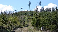 087_TZ60_P1100826_cr