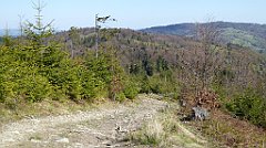 102_TZ60_P1100849_cr