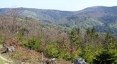 103_TZ60_P1100851_cr