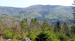 104_TZ60_P1100852_cr