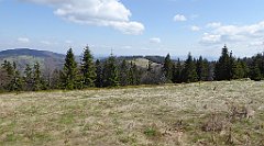 130_TZ60_P1100886_cr