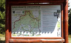 133_TZ60_P1100889_cr