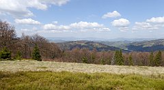 137_TZ60_P1100894_cr