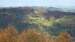 147_TZ60_P1100909_cr