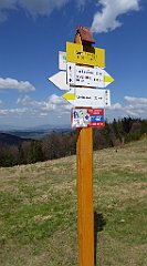 159_TZ60_P1100925_cr