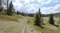 164_TZ60_P1100930_cr