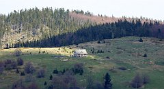 166_TZ60_P1100934_cr