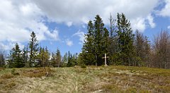 176_TZ60_P1100942_cr