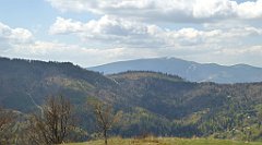 186_TZ60_P1100961_cr