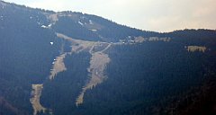 200_TZ60_P1100987_cr