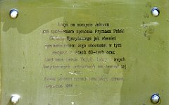 211_TZ60_P1100998_cr