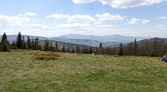 216_TZ60_P1110004_cr