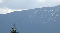 231_TZ60_P1110024_cr