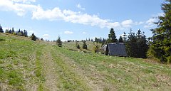 254_TZ60_P1110054_cr