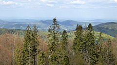 274_TZ60_P1110080_cr