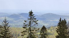 277_TZ60_P1110084_cr