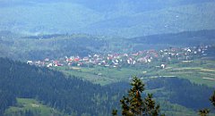 279_TZ60_P1110086_cr