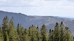 285_TZ60_P1110092_cr