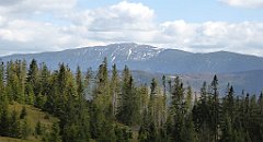 289_TZ60_P1110096_cr