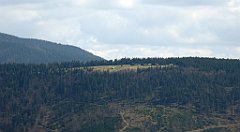 300a_TZ60_P1110125_cr