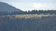 301_TZ60_P1110114_cr