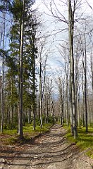 314_TZ60_P1110127_cr