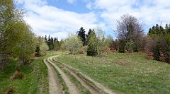 318_TZ60_P1110131_cr