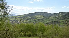 326_TZ60_P1110139_cr