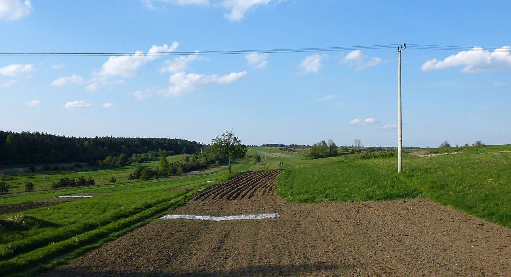510_3D_P1070868_cr.jpg