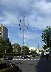 032_TZ60_P1110207_cr