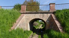 064_TZ60_P1110236_cr