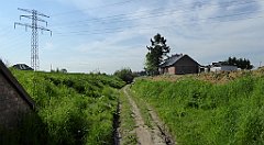 065_TZ60_P1110237_cr