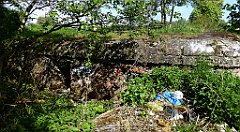 067_TZ60_P1110239_cr