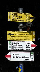 071_TZ60_P1110243_cr