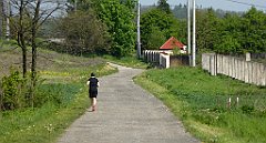 097_TZ60_P1110270_cr