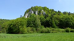 185a_TZ60_P1110327_cr