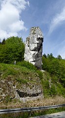 375_TZ60_P1110361_cr